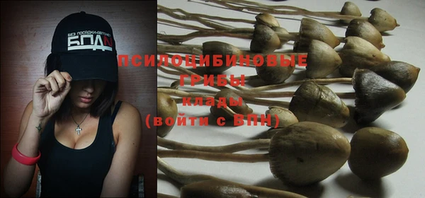 меф Бородино