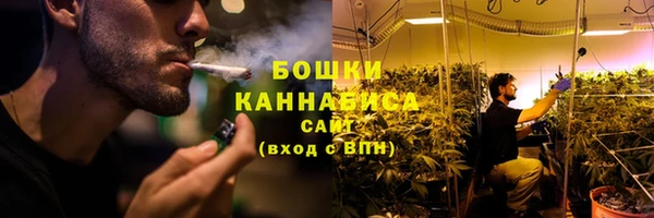 молекула духа Бугульма
