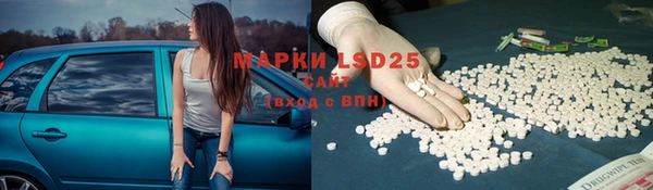 молекула духа Бугульма