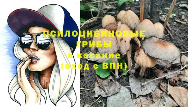 ешки Бронницы