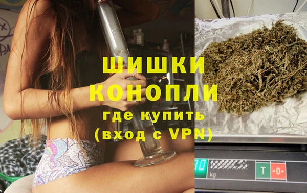 ешки Бронницы
